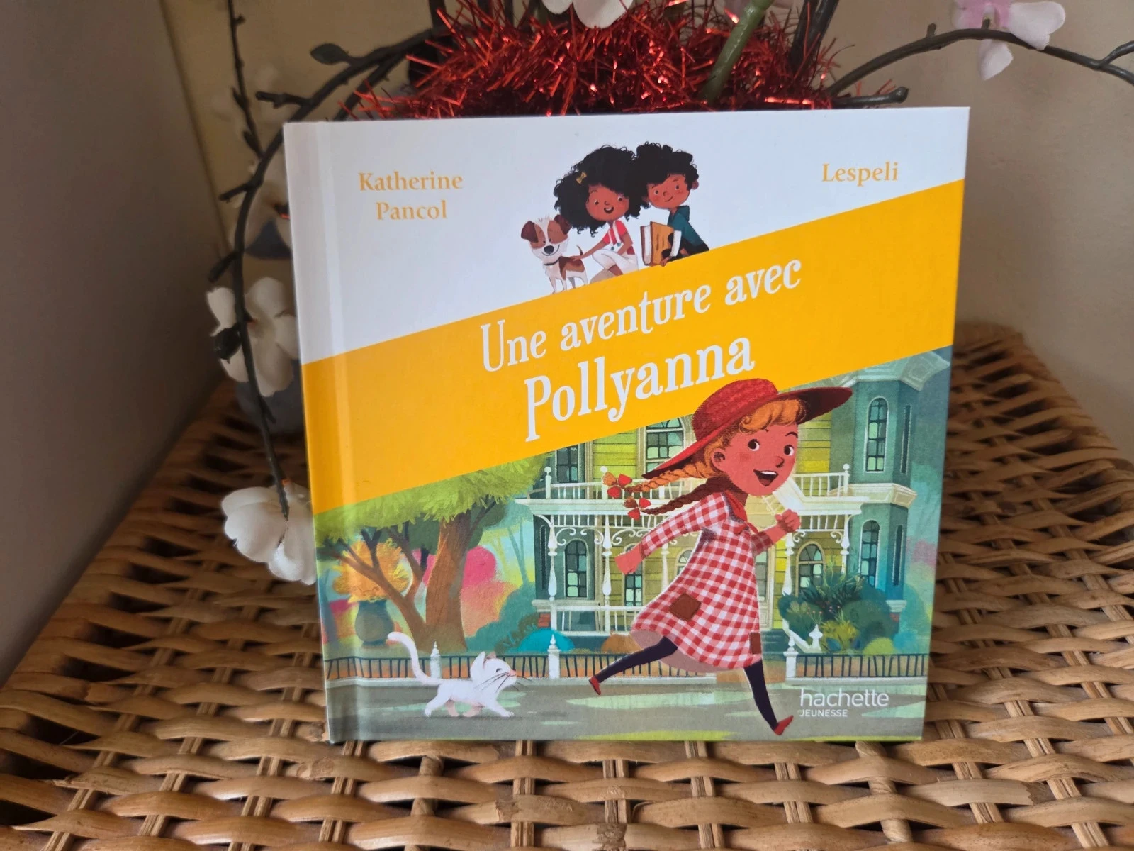 💜Une aventure avec Pollyanna livre enfant